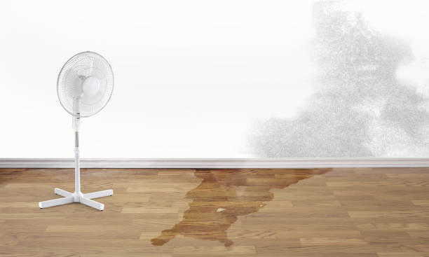 Best Residential water damage restoration  in Princeton, TX