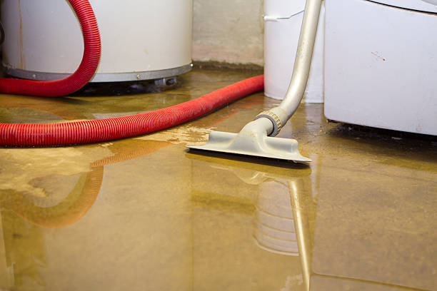  Princeton, TX Water damage restoration Pros