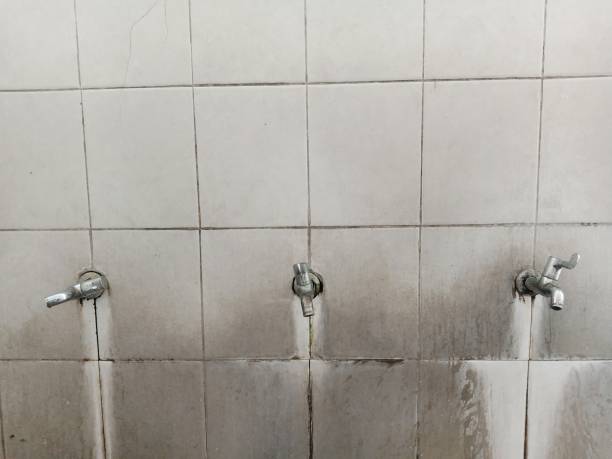 Best Fire Damage Restoration  in Princeton, TX