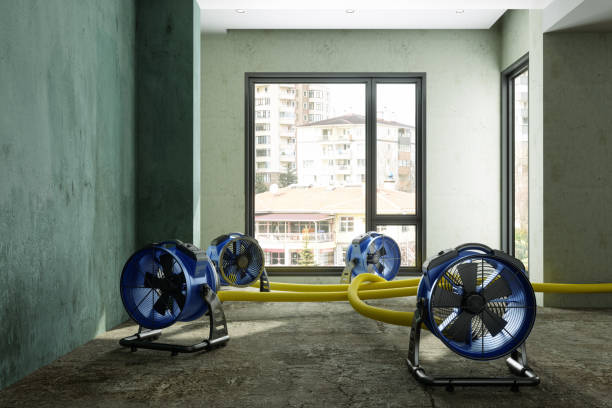 Local water damage restoration in Princeton, TX